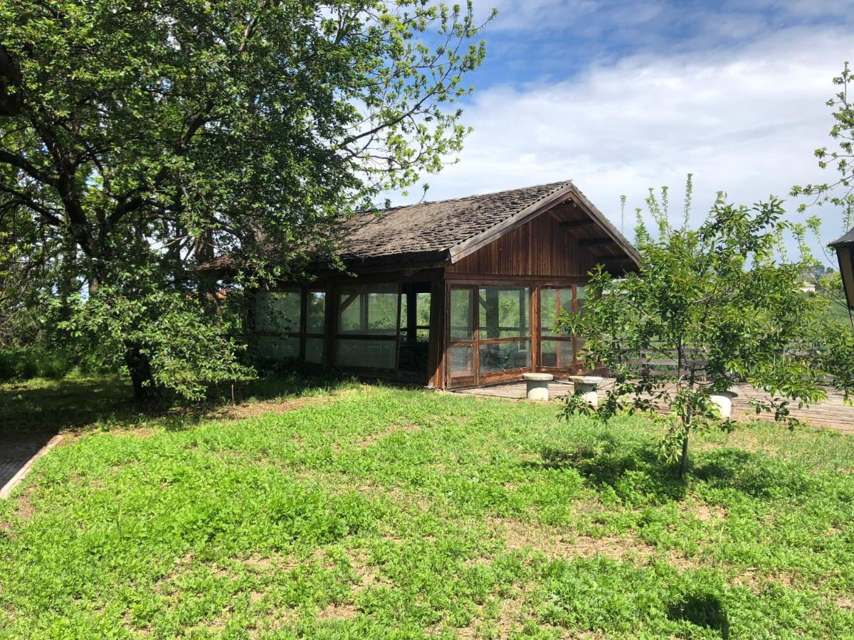 Villa Bonelli Bed & Fest Savigliano Kültér fotó