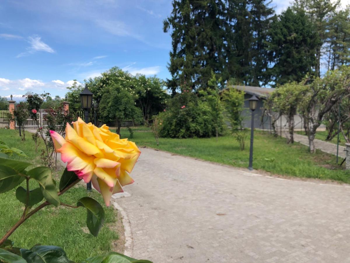 Villa Bonelli Bed & Fest Savigliano Kültér fotó